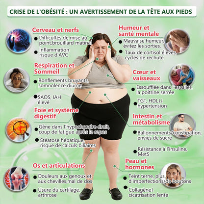 Boutique officielle de France 🇫🇷 | Geelemon® Système Nano Avancé Soin Quotidien Unique